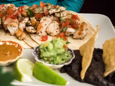 Tavuk Fajita